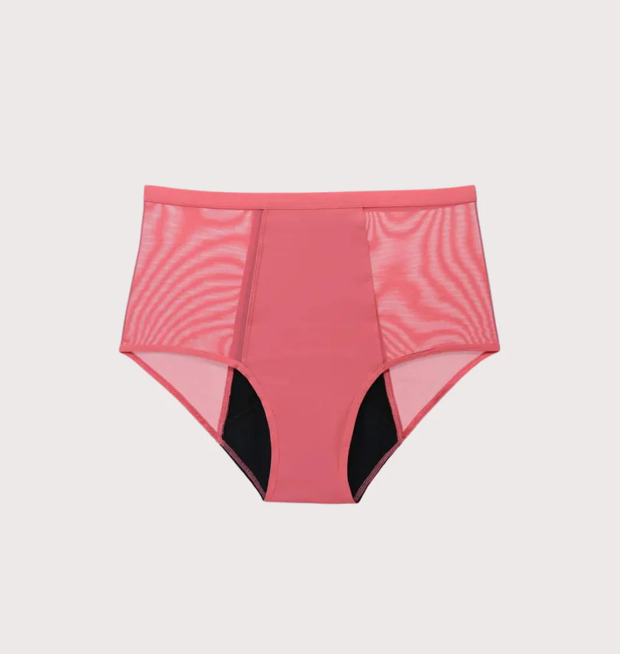 Lace Brief - Moderate Urine Leakage - Image 11